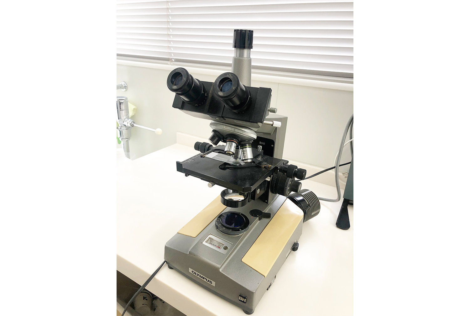 白癬菌（水虫）迅速検査