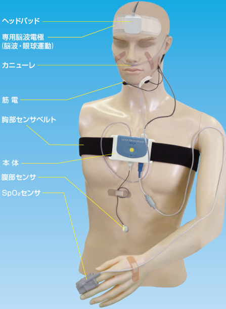 プロコーダー60カタログ画像